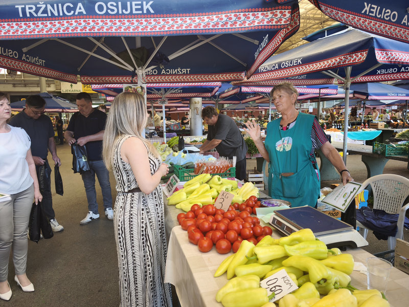 Galerija slika 65