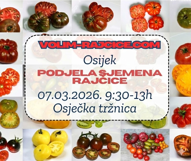 Podijela sjemena rajčica u subotu 07.03.2026. u vremenu od 9:30h do 13h